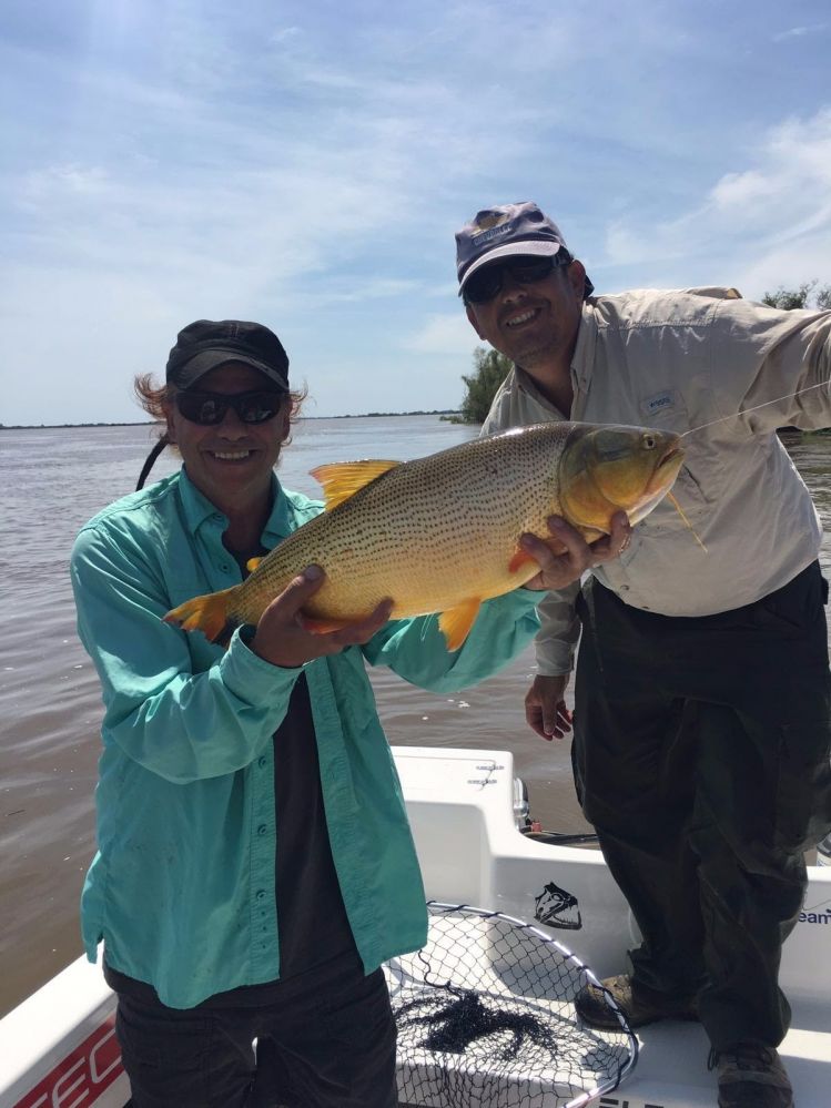 Dorado de Fito Messina en Rosario