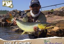 Kid Ocelos 's Fly-fishing Pic of a Bicuda – Fly dreamers 