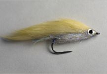 Kuba Hübner 's Fly-tying for Brownie - Photo – Fly dreamers 