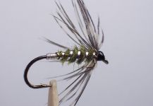James Meyer 's Fly for Rainbow trout - – Fly dreamers 