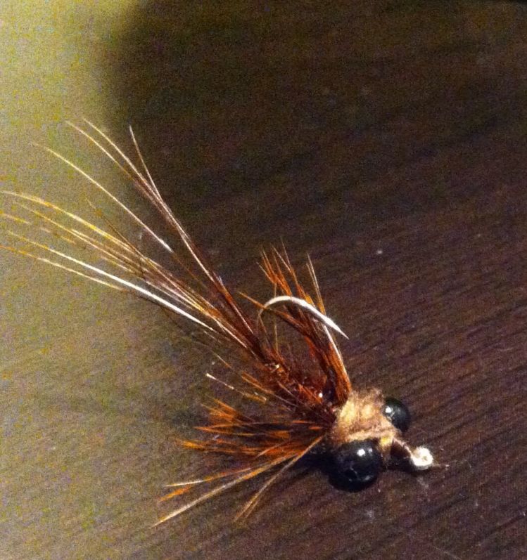 One of my most successful carp patterns. I call it the baby craw nymph. Simple to tie and very effective on picky carp.