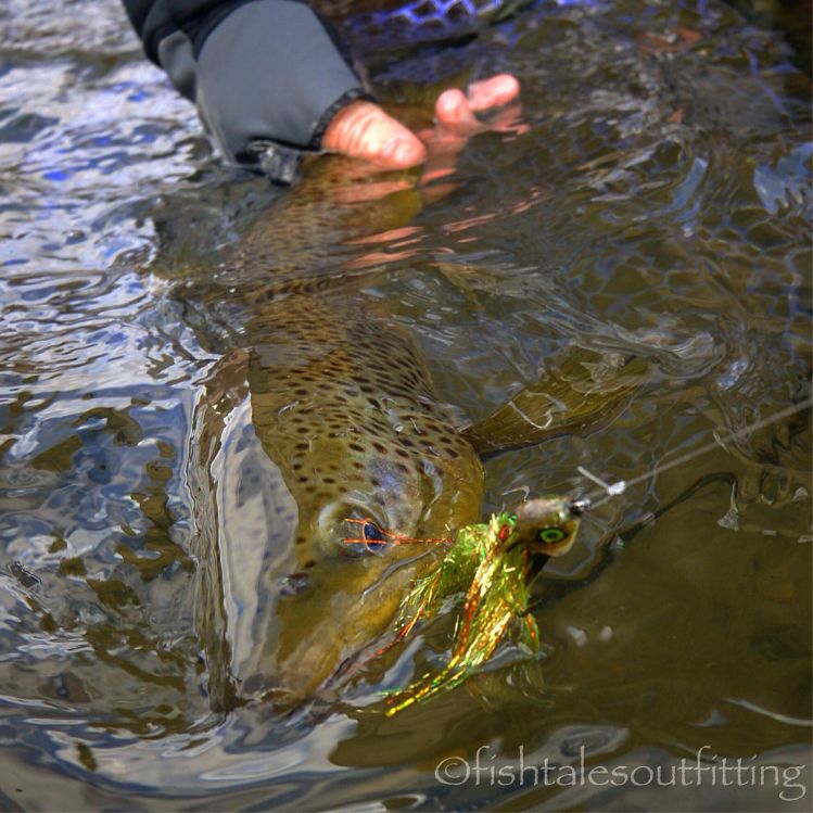 Day one 2016 is in the books. Ice in the guides all day and still a "smashing success!" #swingingstreamers @dropjawflies #streamereater #streamerjunkie #browntrout #keepemwet #flyfishmontana #winstonrods #fishtalesoutfitting