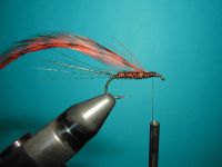 Step 7
I tie a rooster hackle on hook
