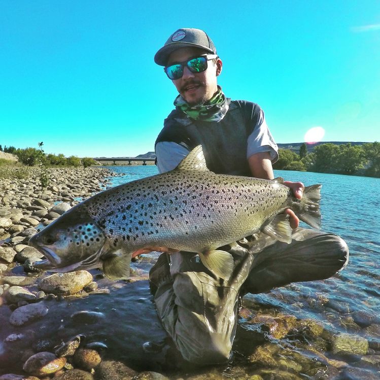 Limay medio. 2016
Pagaa