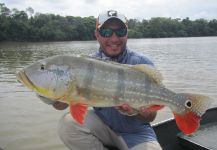 Leo Cardella 's Fly-fishing Catch of a Peacock Bass – Fly dreamers 