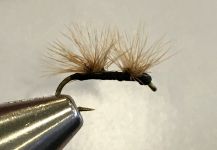 Todd Green 's Fly for Rainbow trout - Pic – Fly dreamers 