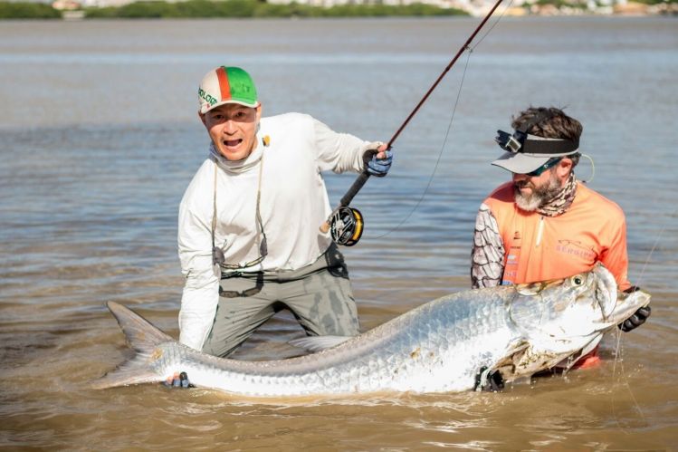 The Second tarpon on fly rod in Brazil (Aracajú, Sergipe)