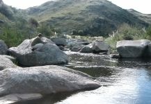 Rainbow trout Fly-fishing Situation – Carlos Estrada shared this Image in Fly dreamers 