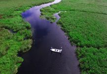  Tiger of the River – Interesante Situación de Pesca con Mosca – Por Pablo Saracco