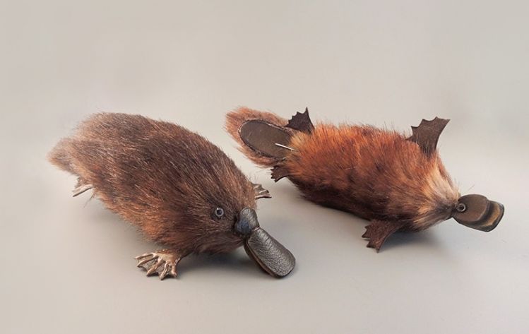 Realistic Platypus.