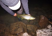 Lagunas Andinas