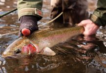 Salmon river, Idaho, Sun Valley, Idaho, United States