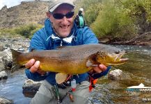 Fly-fishing Picture of Brownie shared by Pablo Saracco | Fly dreamers