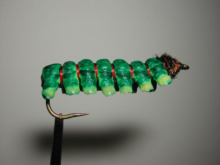 Caterpillar