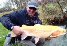 Fly-fishing Picture of Golden Trout shared by Francois GEORGES – Fly dreamers
