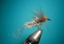 Fly for English trout - Image by Agostino Roncallo – Fly dreamers 