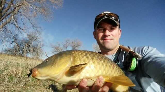 Stillwater carp are moving into the shallows/flats.   Chubby chaser carp fly was just too tempting.