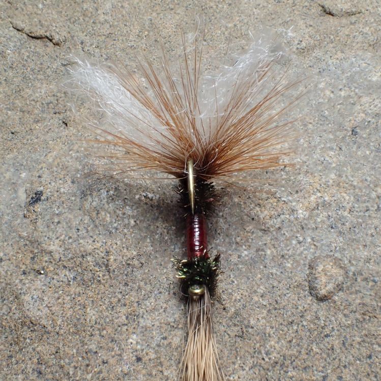 I'm trying a new dry fly for this season. Not sure how well the inverted, backwards design will hook up. Hopefully they work! Fun to tye and looks sexy.