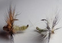 James Meyer 's Fly-tying for Grayling - Picture – Fly dreamers 