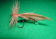 Agostino Roncallo 's Fly for Salmo trutta - Picture – Fly dreamers 