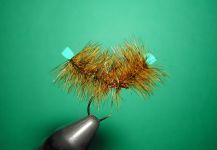 Agostino Roncallo 's Fly-tying for European brown trout - Photo – Fly dreamers 