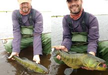 Mauro Gil 's Fly-fishing Pic of a Wolf Fish – Fly dreamers 