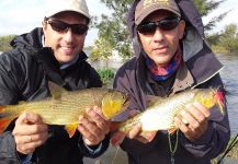  Excelente Situación de Pesca con Mosca de Salminus brasiliensis – Por Leandro E. en Fly dreamers