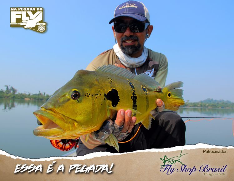 O tucunaré é um dos peixes que mais é pesco no Brasil!