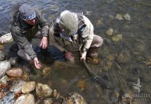 Salmon river, Idaho, Ketchum, Idaho, United States