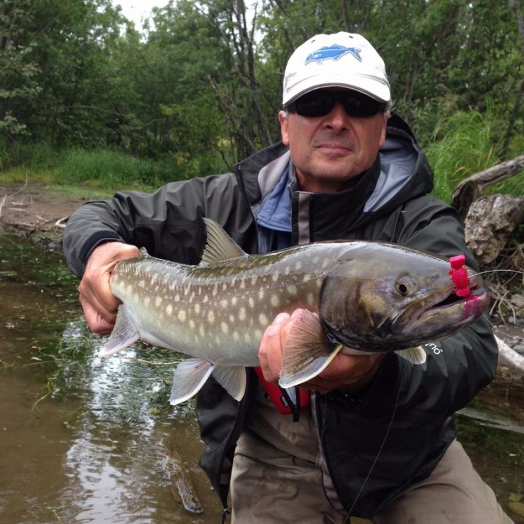 Dry fly fishing on the Icha river