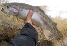  Una Excelente imagen de Pesca con Mosca por East  Rosebud