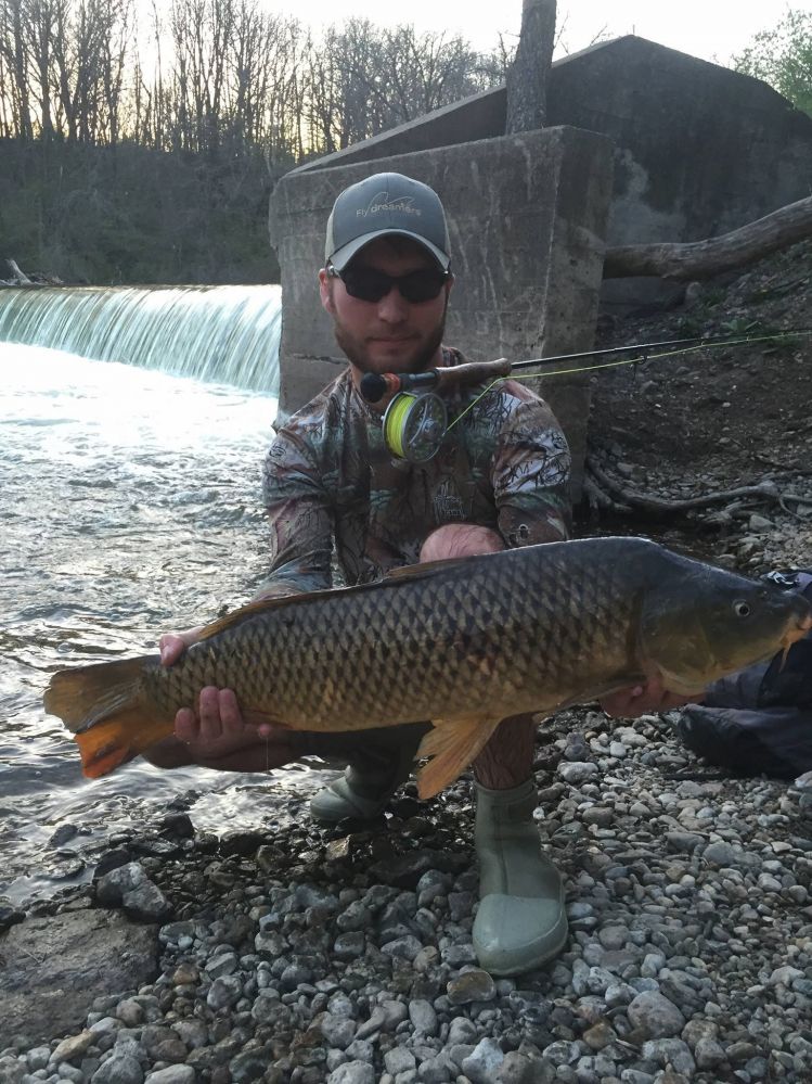 Was thrilled for this guy to finally take my fly right at the end of the night. 