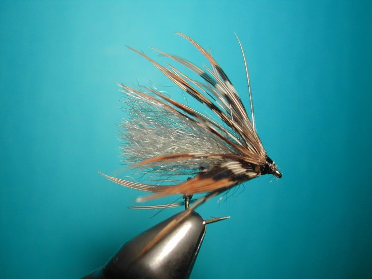 Skating caddis