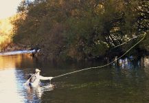  Genial Situación de Pesca con Mosca de Salmo fario – Por Fabian Rubano en Fly dreamers