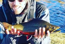  Captura de Pesca con Mosca de brook charr por Facundo Albornoz – Fly dreamers