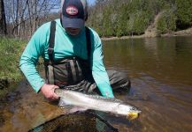 Fly-fishing Picture of Steelhead shared by Kevin Feenstra – Fly dreamers