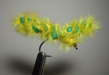 Agostino Roncallo 's Fly-tying for Brownie - Photo – Fly dreamers 