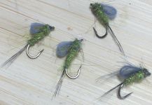 Fly-tying for Rainbow trout - Picture shared by Todd Green – Fly dreamers