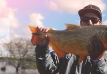  Fotografía de Pesca con Mosca de Salminus brasiliensis por Leandro Ferreyra – Fly dreamers 