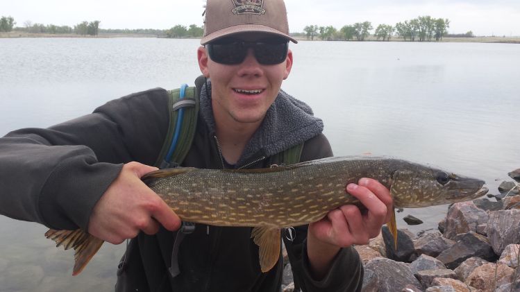 First pike, taken on my 4 wt!!!