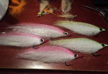 Fly for Broad Barred Mackerel - Picture by David Bullard – Fly dreamers 