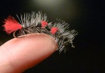  Fotografía de Atado de moscas para Trucha arcoiris compartida por Carlos Estrada – Fly dreamers