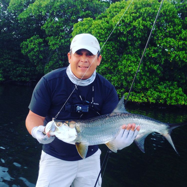 Baby tarpon , mosca whisky muddler , Isla Margarita Venezuela