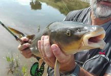  Fotografía de Pesca con Mosca de Barbus compartida por LUIS SÁNCHEZ ANAYA – Fly dreamers