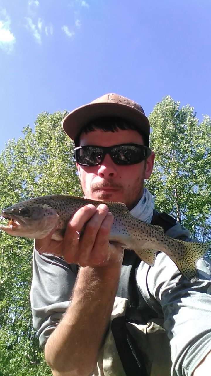 My best trout this season 14"