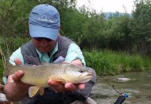  Foto de Pesca con Mosca de Trucha marmorata por Massimo Feliziani – Fly dreamers 