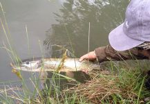  Captura de Pesca con Mosca de Lucio por Ramiro Garcia Malbran – Fly dreamers