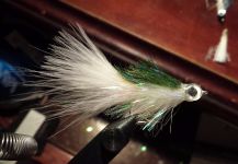 David Bullard 's Fly-tying for Snook - Robalo - Picture – Fly dreamers 