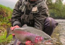  Imagen de Pesca con Mosca de Trucha arcoiris por Jošt Hašaj - Sloflyfishing – Fly dreamers