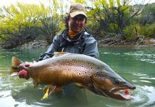  Fotografía de Pesca con Mosca de Salmo trutta por Miguel Angel Marino – Fly dreamers 